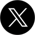 X-icon